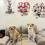 Alojamento de Acomodação e Pequeno-almoço La Chicca Di Milu' For Pet Lovers, Un'oasi Pet-friendly Tra Mare E Campagna 4*