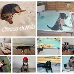 La Chicca Di Milu' For Pet Lovers, Un'oasi Pet-friendly Tra Mare E Campagna Alojamento de Acomodação e Pequeno-almoço