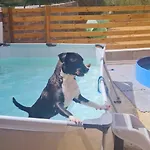 Alojamento de Acomodação e Pequeno-almoço La Chicca Di Milu' For Pet Lovers, Un'oasi Pet-friendly Tra Mare E Campagna 4*