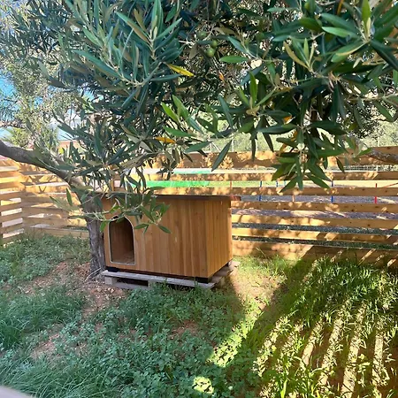 La Chicca Di Milu' For Pet Lovers, Un'oasi Pet-friendly Tra Mare E Campagna